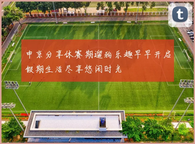 申京分享休赛期遛狗乐趣早早开启假期生活尽享悠闲时光